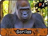 Juegos de Gorilas