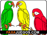 Parrot Coloring